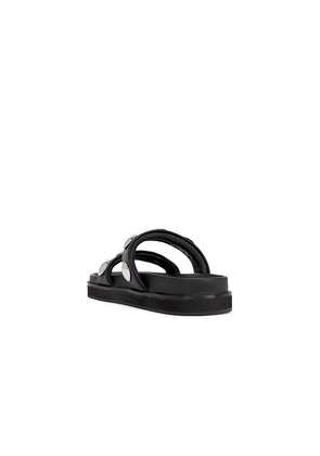 SENSO Zeon I Sandal in Brown. Size 36. Also in 35, 38.
