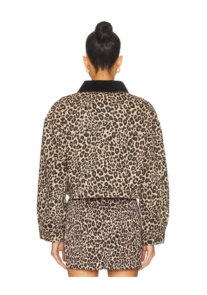 Sanctuary Cropped Barn Jacket in Brown. Size M. Also in XS, S.