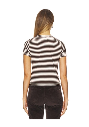 Rag & Bone Luca Stripe Rib Baby Tee in Brown. Size S. Also in XS, M.