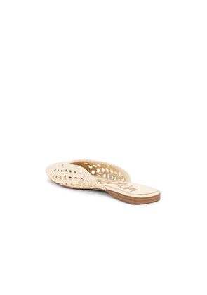 Sam Edelman Nola Mule in Ivory. Size 8. Also in 6.5, 7, 7.5, 9.