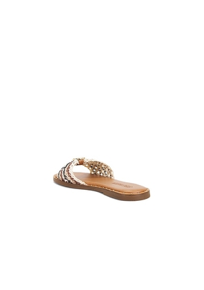 Steve Madden Dipsy Sandal in Brown. Size 10. Also in 6, 6.5, 7, 7.5, 8, 8.5, 9, 9.5.