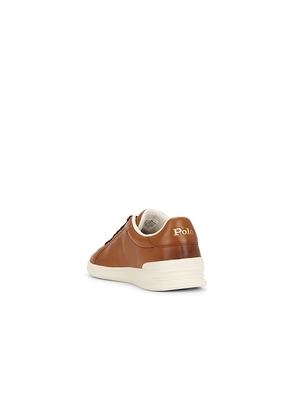 Polo Ralph Lauren Court II Sneaker in Brown. Size 8. Also in 7, 10, 11, 13.