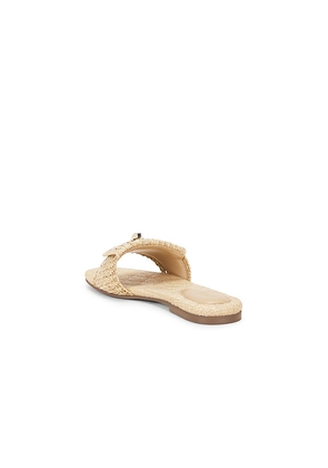 Steve Madden Moreland Sandal in Neutral. Size 6. Also in 6.5, 7.5, 8, 9.5.
