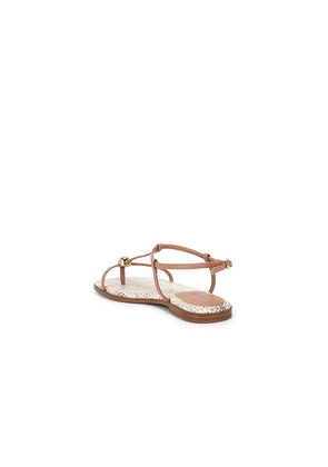 Steve Madden Ritzy Sandal in Brown. Size 6. Also in 6.5, 7, 7.5, 8, 8.5, 9, 9.5, 10.