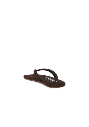 SENSO Illy Sandal in Chocolate. Size 37. Also in 36, 38, 39, 40, 41.