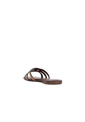 Seychelles Treasure Sandal in Tan. Size 6. Also in 6.5, 7, 7.5, 8, 8.5, 9, 9.5.