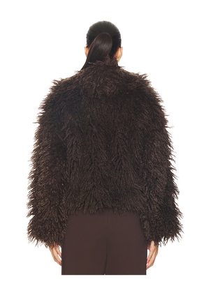 Steve Madden Inaya Coat in Brown. Size L. Also in S.
