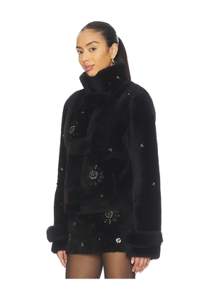 SIEDRES Sira Fur Jacket in Chocolate. Size 32. Also in 34, 36.