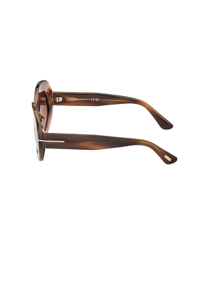 TOM FORD Claudette Sunglasses in Brown.