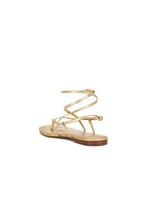 Sam Edelman Clarra Sandal in Metallic Gold. Size 6. Also in 6.5, 7, 7.5, 8, 8.5, 9, 9.5, 10.
