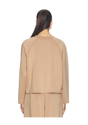 Ripley Rader Oversized Raglan Top in Tan. Size L. Also in S, XS, M.