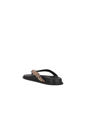 PAIGE Zadie Sandal in Tan. Size 6. Also in 6.5, 7, 7.5, 8, 9, 9.5, 10.