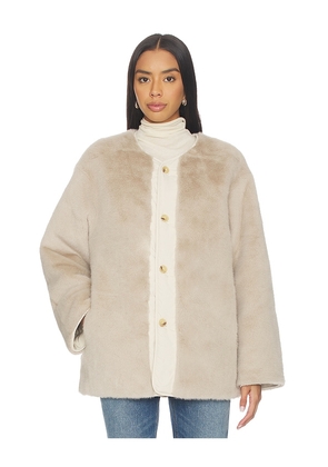 Sanctuary Reversible Fur Liner in Cream. Size M. Also in XS, S, XL/1X.