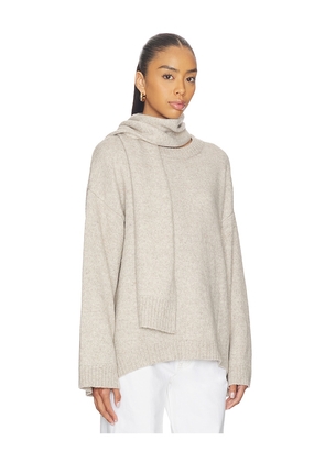 Sanctuary Go To Sweater in Taupe. Size M. Also in XS, S, L, XL/1X.