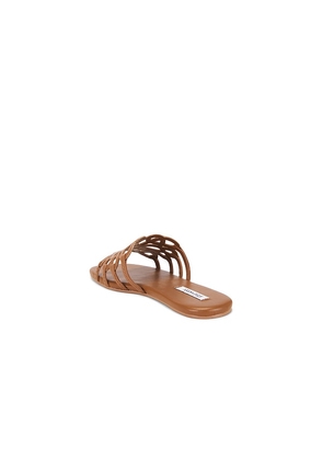 Steve Madden Lotus Sandal in Brown. Size 6. Also in 6.5, 7.5, 8, 8.5, 9.5, 10.