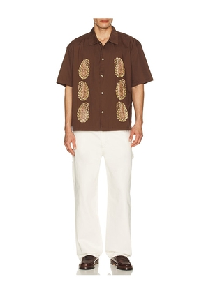 Rhythm Mirissa Relaxed Shirt in Brown. Size M. Also in S, L, XL/1X.