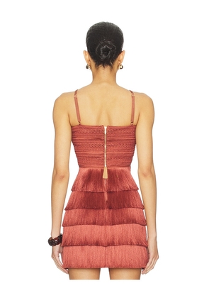 PatBO Amethyst Fringe Top in Rust. Size 10. Also in 0.