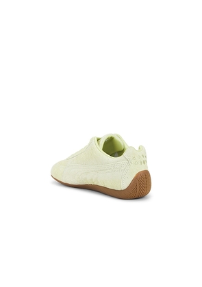 Puma Select X Danielle Cathari Speedcat Washed Sneaker in Green. Size 6.5. Also in 6, 7, 9, 9.5.