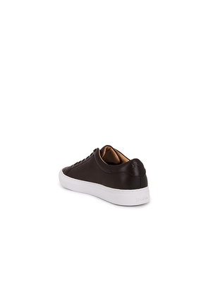 Polo Ralph Lauren Jermain II Sneaker in Brown. Size 10. Also in 7, 8, 9, 11, 12, 13.
