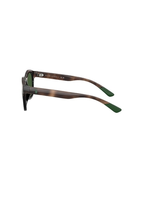 Polo Ralph Lauren Square Sunglasses in Brown.