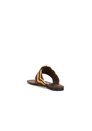 Schutz Martha Flat in Brown. Size 6. Also in 7, 8, 8.5.