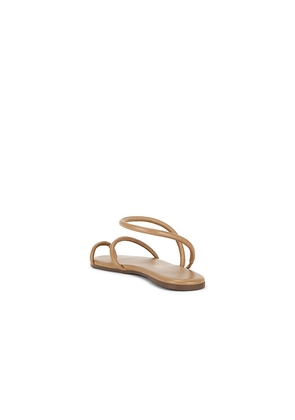 TKEES Tubular Mia Napa Sandal in Brown. Size 10. Also in 7, 8, 9.