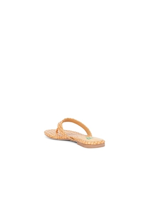 Seychelles Fiera Sandal in Neutral. Size 6. Also in 6.5, 7, 7.5, 8, 8.5, 9, 9.5, 10, 11.