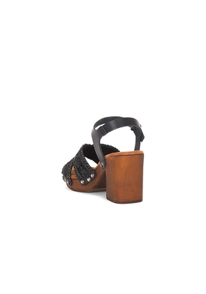 Seychelles Ravenna Sandal in Black, brown. Size 6. Also in 6.5, 7, 7.5, 8, 8.5, 9, 9.5, 10.