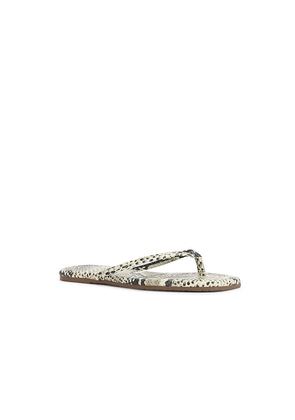 TKEES Square Toe Lily Sandal in Grey. Size 6. Also in 7, 8, 9.