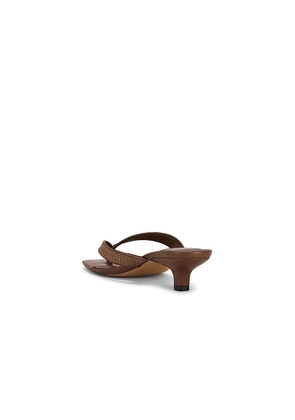 Steve Madden Tracie Sandal in Brown. Size 10. Also in 6.5, 7.5, 8.