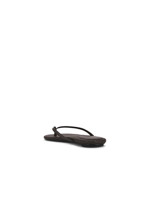 St. Agni Woven Flip Flop in Chocolate. Size 36. Also in 38.