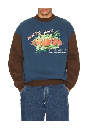 Wish Me Luck Greatest Fortune Crewneck Sweater in Blue,Brown. Size M. Also in XS, S, L, XL/1X.