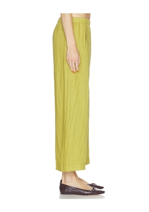 Velvet by Graham & Spencer Lola Woven Linen Pant in Yellow. Size XS. Also in S, M.