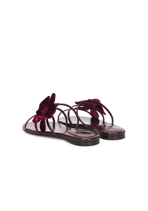 Zimmermann Orchid Slide in Wine. Size 37. Also in 36, 38, 39, 40.