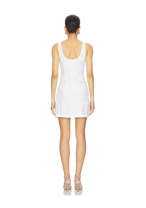 Waimari Ambar Mini Dress in Cream. Size M. Also in S.