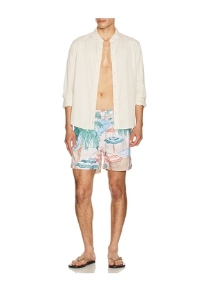 Vintage Summer Ponji Swim Volleys in Brown. Size L. Also in S, XXL/2X.