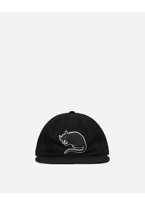 Rat Logo Fitted Hat Black