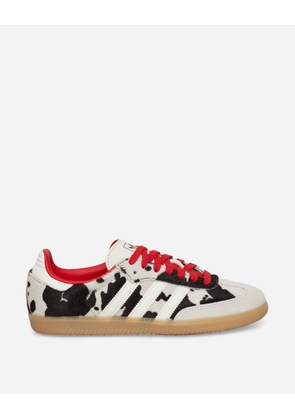 Samba OG Sneakers Aurora Coffee / Off White