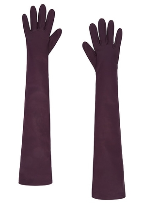 Balenciaga Long Gloves in Iris - Purple. Size S (also in ).