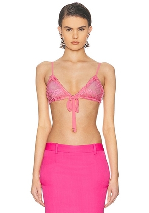 THE ATTICO Bow Lace Bra in Pink - Pink. Size 38 (also in 40, 44).