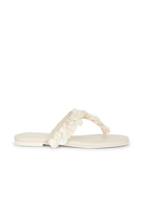 SIMKHAI Elin Thong Sandal in Alabaster - Cream. Size 36 (also in 37, 38, 40, 41).