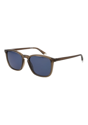 Polaroid Brown Plastic Sunglasses