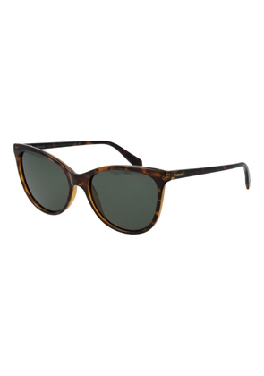 Polaroid Brown Plastic Sunglasses