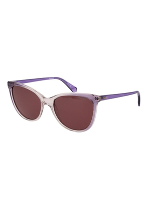 Polaroid Purple Plastic Sunglasses