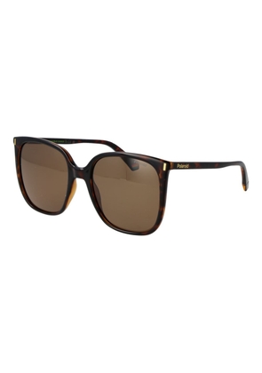 Polaroid Brown Plastic Sunglasses