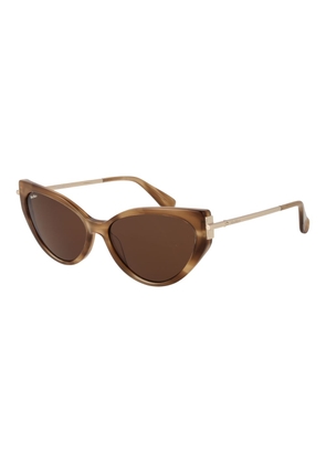 Max Mara Brown Acetate Sunglasses