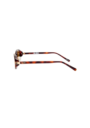 THE ATTICO Oval Sunglasses in Brown.