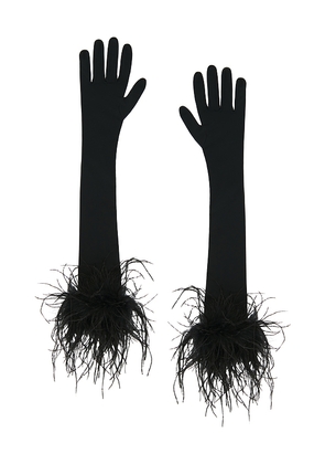 Bronx and Banco Long Spandex Glove in Black. Size XS/S. Also in M/L.