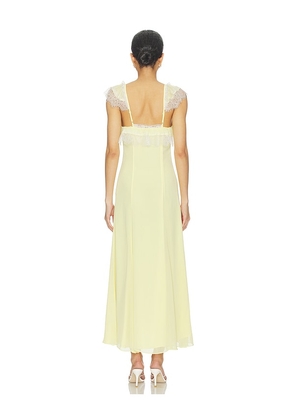 Bardot Arlia Lace Trim Maxi Dress in Yellow. Size 10. Also in 4, 2, 6, 8, 12.