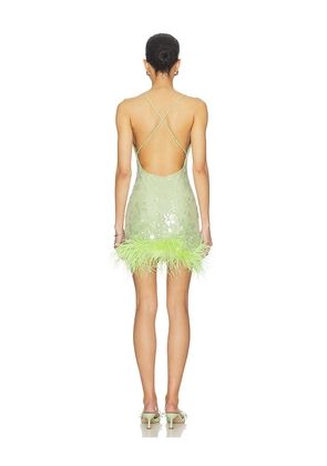 DELFI Lila Dress in Green. Size L. Also in S, XS, M.
